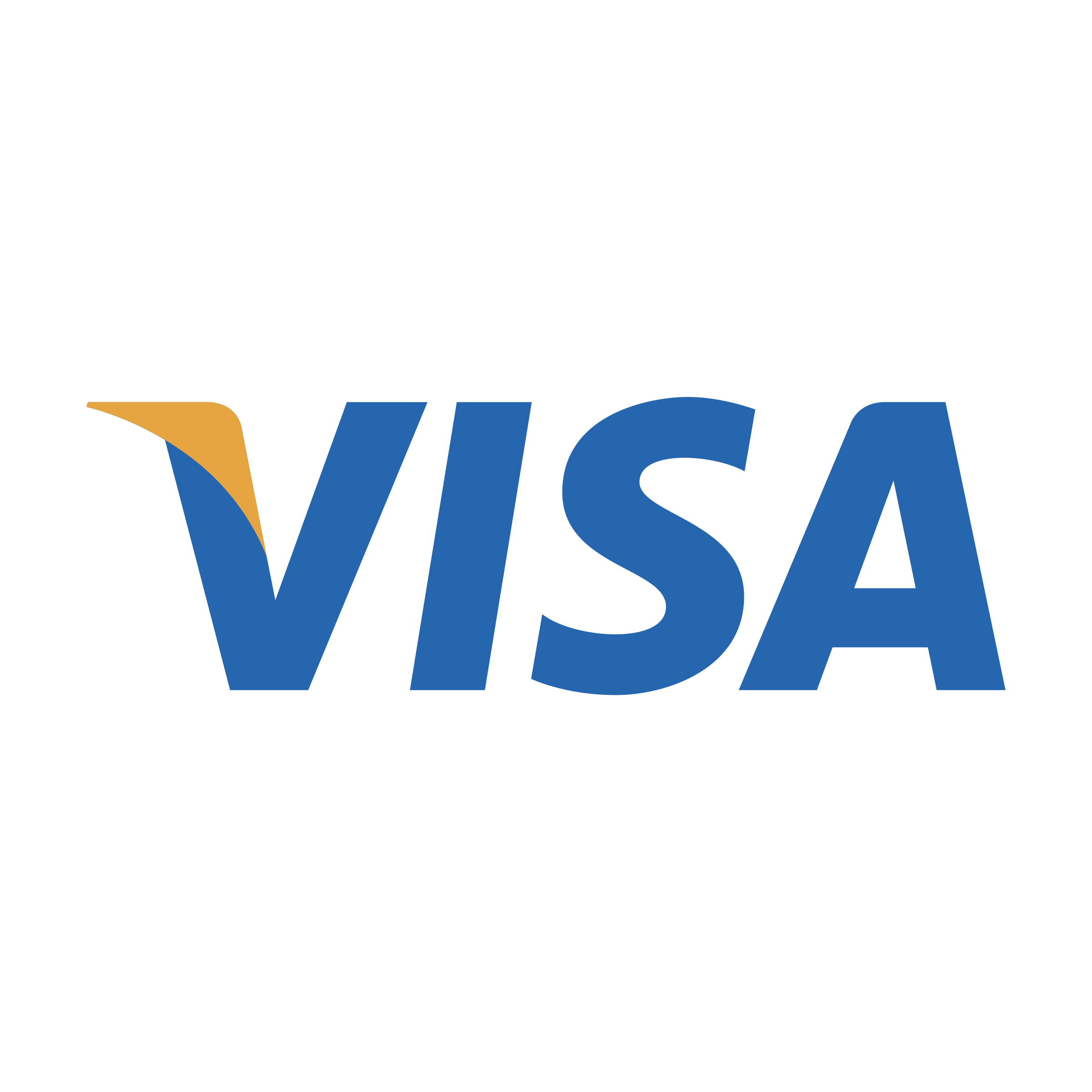 Visa Logo